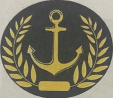 AFIX Logo